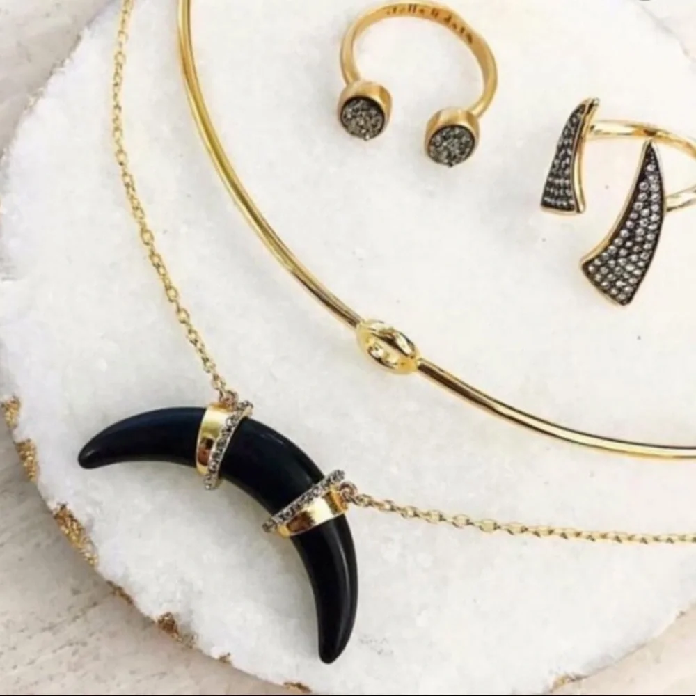 :: Stella & Dot Gorgeously Delicate Mia Gold+Leather Choker - Picture 5 of 9